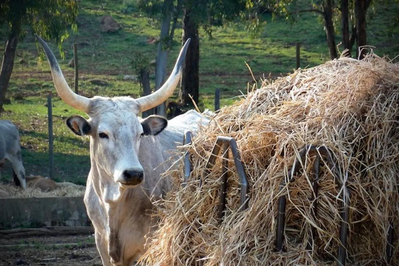 Agroturismo Faustina - Agriturismo La Valentina Talamone