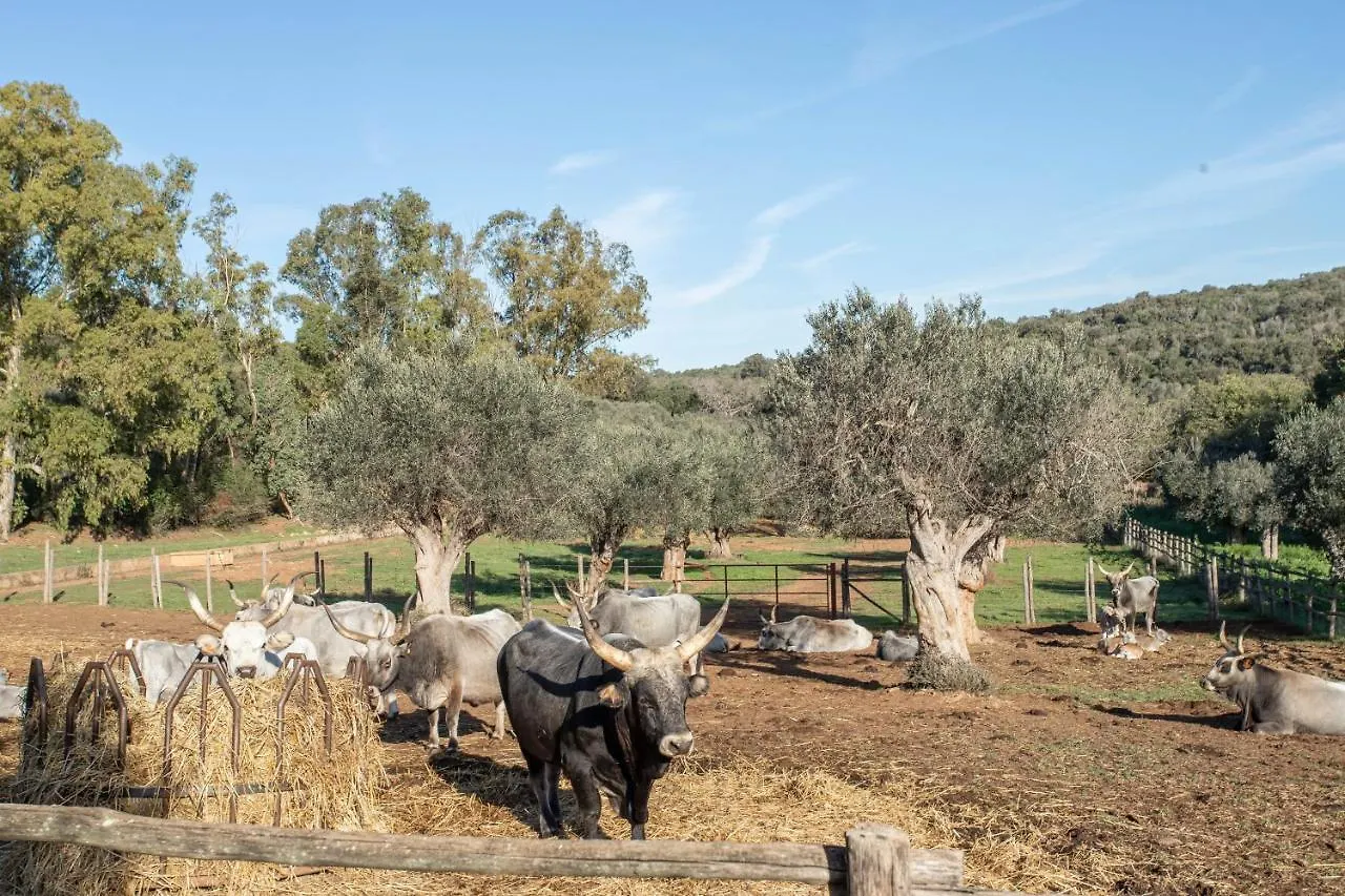 Agroturismo Faustina - Agriturismo La Valentina Talamone
